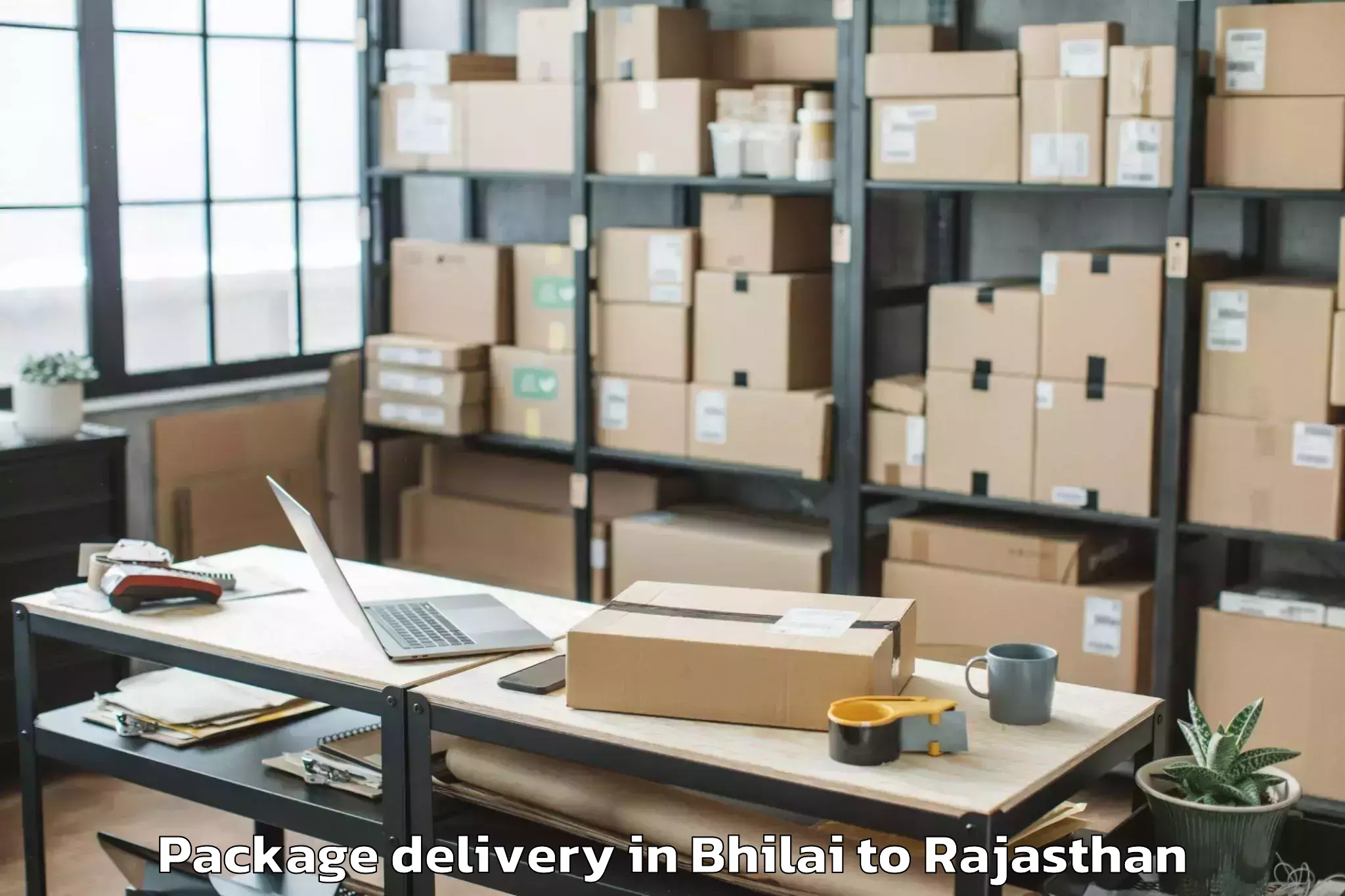 Hassle-Free Bhilai to Udaipurwati Package Delivery